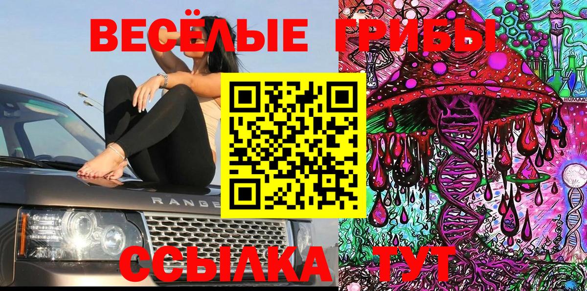 Псилоцибиновые грибы мицелий  Вход с VPN  Светлоград 